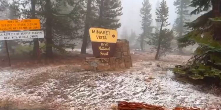 Inusual tormenta trae nieve en partes altas de Washington y en el norte de California