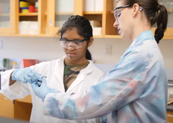 Posicionan a la Universidad de San Diego entre las 50 mejores universidades del país