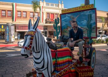 Burro cebra Tijuana