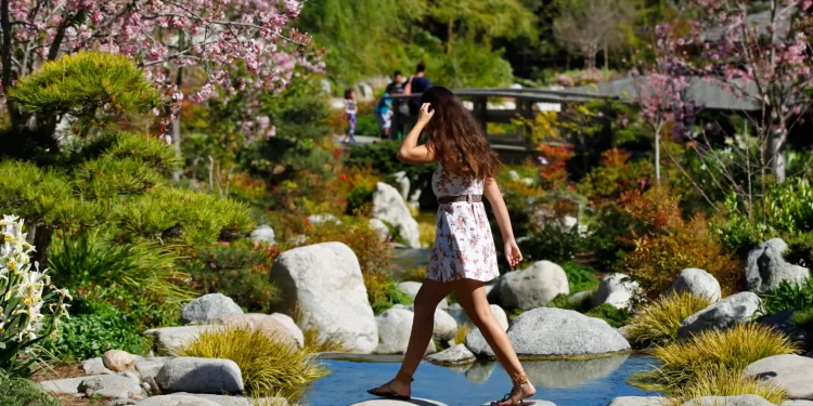 Actividades y festivales para disfrutar con los niños este otoño en San Diego