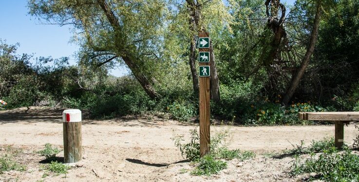 Aguas residuales de México afectan las actividades recreativas al norte de la frontera