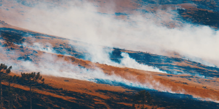 incendio forestal que ya fue extinguido, incineró 413 acres en la zona rural del sureste del condado de San Diego