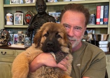 Arnold Schwarzenegger