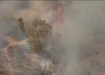 Se produce un incendio forestal en Lakeside