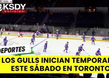 Los Gulls comienzan la temporada mañana sábado visitando al equipo de Toronto