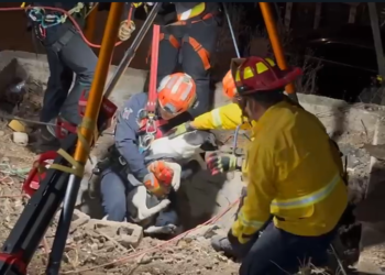 Bomberos de Tijuana rescatan a perro de un pozo en La Cima