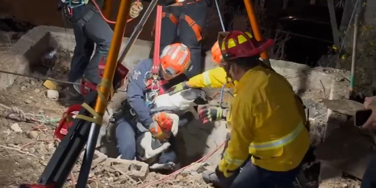 Bomberos de Tijuana rescatan a perro de un pozo en La Cima