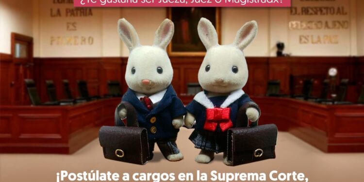 Ternurines poder judicial