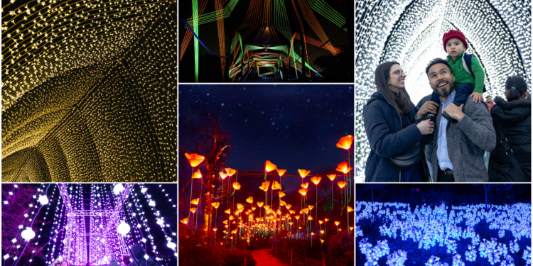 Lightscape San Diego