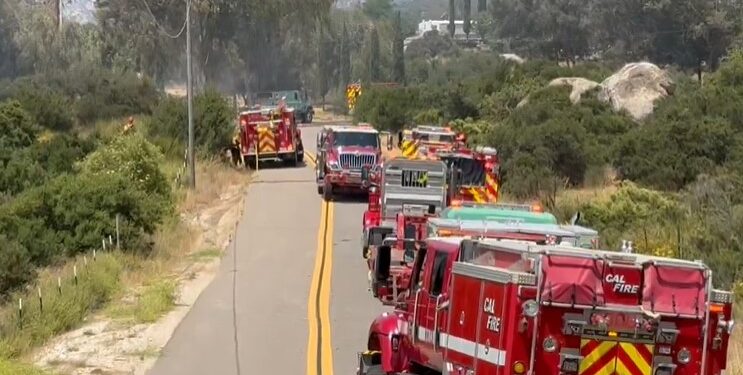 Una persona y dos mascotas mueren en incendio de remolque
