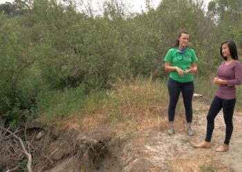 Más de 100 voluntarios limpian el río San Diego antes de la temporada de lluvias