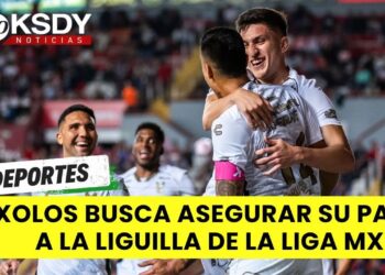 Xolos de Tijuana busca dar un golpe de autoridad en casa