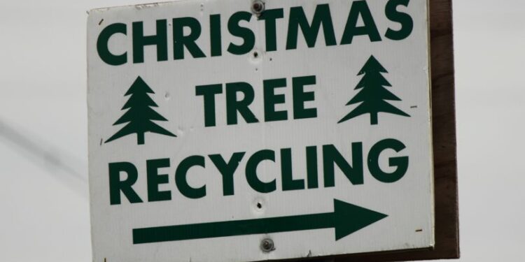 La temporada navideña es buen tiempo para reciclar