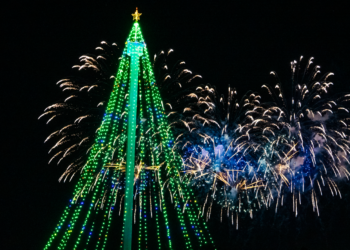 SeaWorld New Years