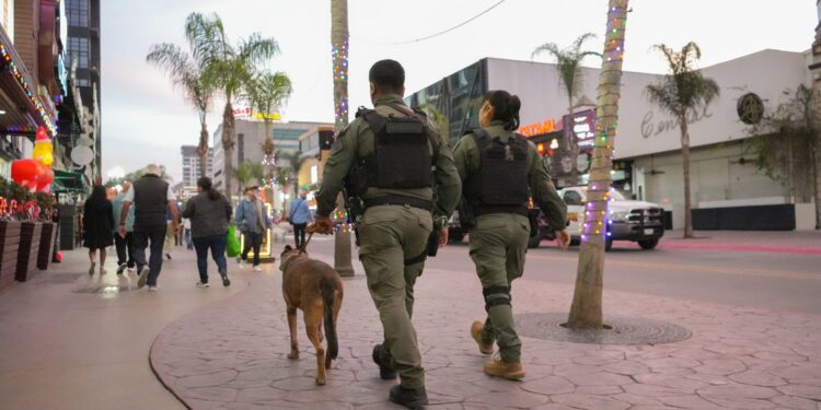 Autoridades en Tijuana emiten recomendaciones para prevenir robos durante la temporada navideña