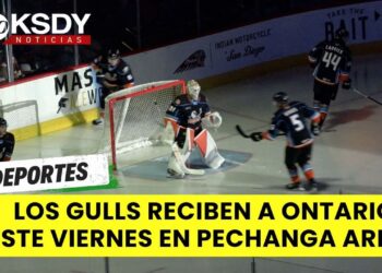 Los Gulls regresan a casa para una estancia de 3 juegos