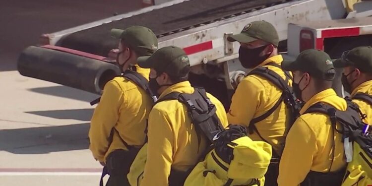 Bomberos mexicanos se suman al combate de incendios en California