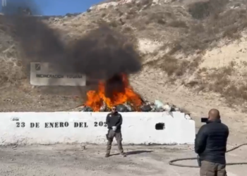 realizaron la incineración de 1,350 kilogramos de diferentes drogas