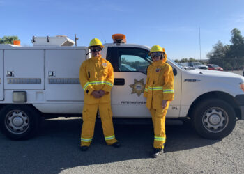 Emiten recomendaciones ante posibles evacuaciones con mascotas