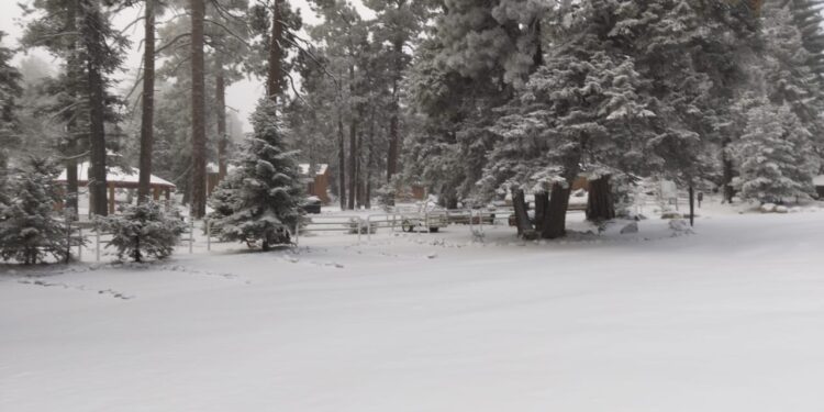 San Pedro Mártir recibe su primera nevada del año