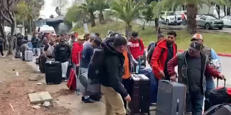 migrantes
