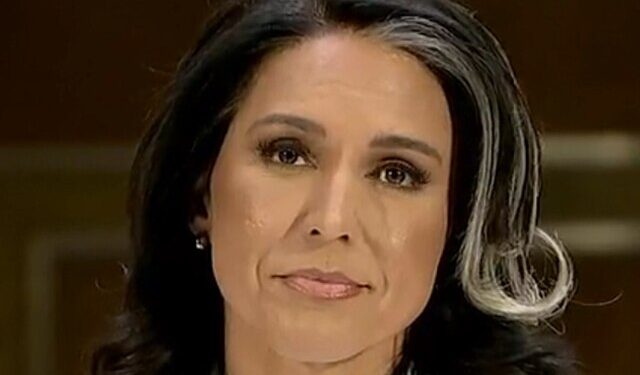 Tulsi_Gabbard