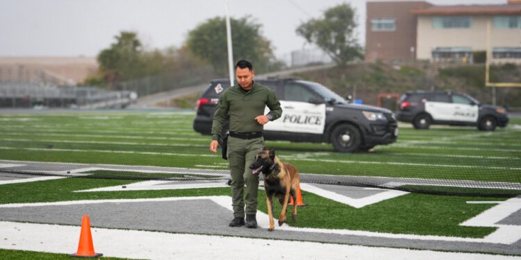 K9 Baja California