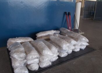 CBP decomisa más de 1,500 libras de narcóticos en el puerto de entrada de Tecate