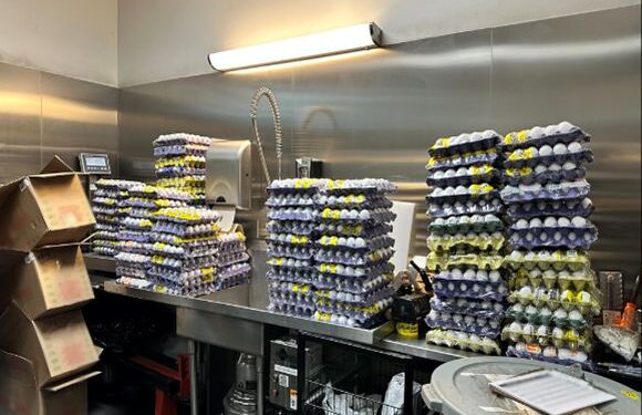 ¡Cuidado! CBP advierte sobre multas de hasta $10,000 por ingresar huevos crudos desde México