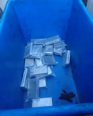 Interceptan más de 240 libras de cocaína en la frontera de San Diego