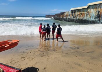 Rescatan a delfín varado en zona rocosa de Playas de Tijuana.