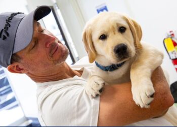 Perros de apoyo facilitan la transición de veteranos a la vida civil