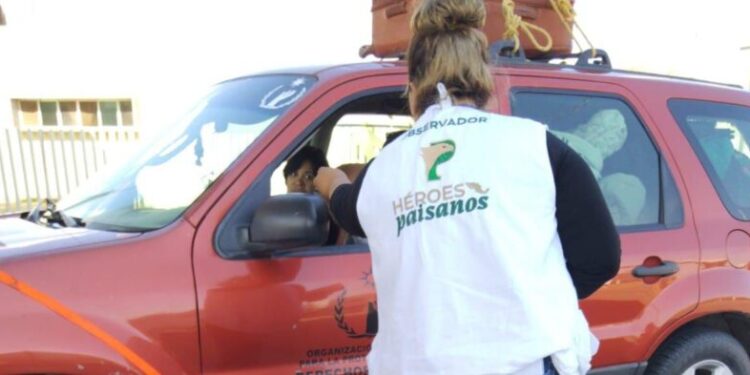 Baja California refuerza coordinación para la protección de connacionales