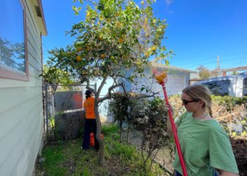 Voluntarios se unen para combatir el desperdicio de alimentos y el hambre