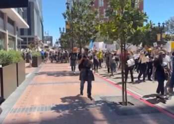 Manifestantes en San Diego alzan la voz contra políticas de Trump y Musk