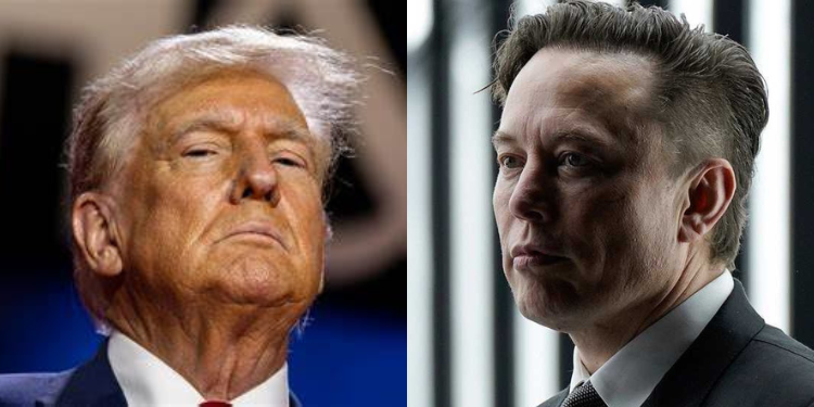Elon Musk dejará su cargo en la administración de Trump - KSDY Canal 50 ...