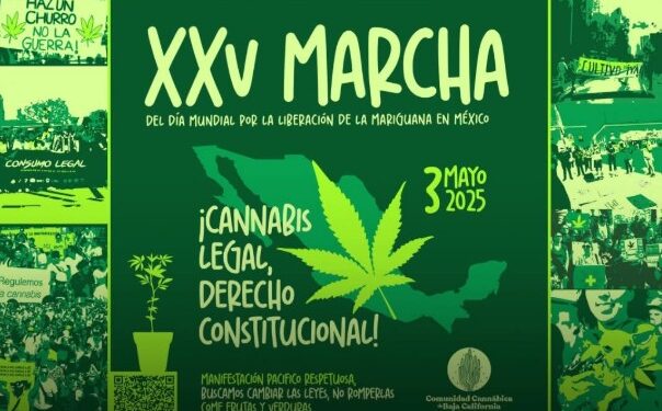 Marcha mundial por la liberación de la marihuana llegará a Tijuana el 3 de mayo