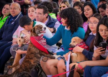 Animales en Baja California ya son reconocidos como seres sintientes
