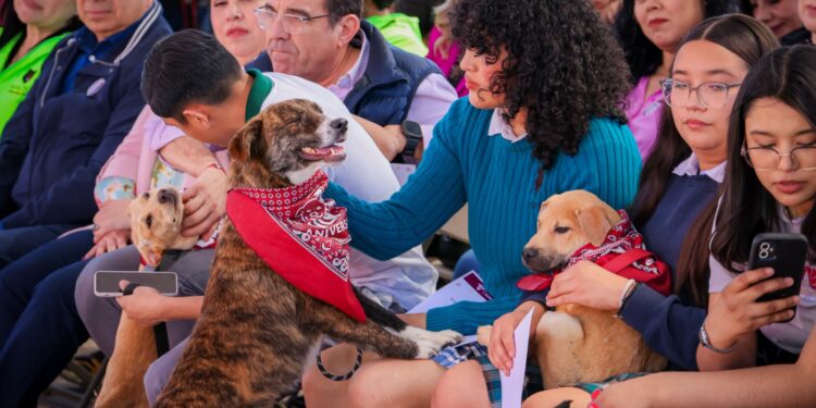 Animales en Baja California ya son reconocidos como seres sintientes