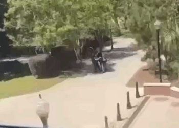 Reportan varios heridos en tiroteo en la Universidad Estatal de Florida