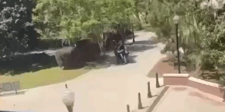 Reportan varios heridos en tiroteo en la Universidad Estatal de Florida