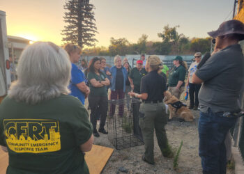 Ofrecerán capacitación gratuita en preparación para desastres en el condado de San Diego