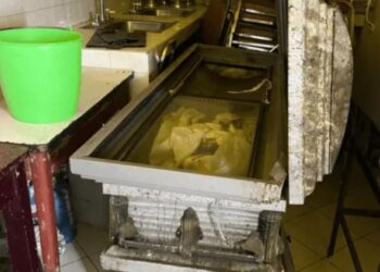 Autoridades hallaron ataúdes usados como hieleras en fiesta clandestina de menores