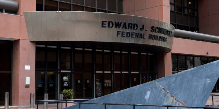 Grupo de voluntarios brindan información legal a migrantes en cortes de inmigración