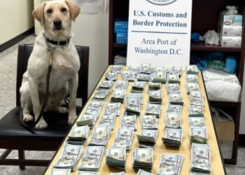 Decomisan 78 mil dólares a mexicano en puente fronterizo