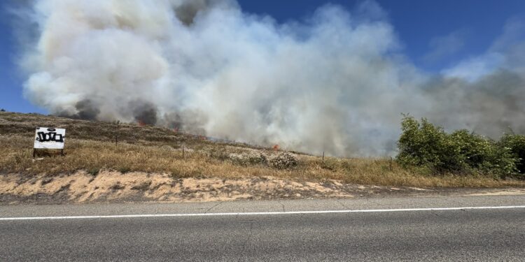 Incendio forestal de 20 acres provoca evacuaciones en Bonsall