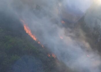 Incendio forestal en Clairemont provoca evacuaciones