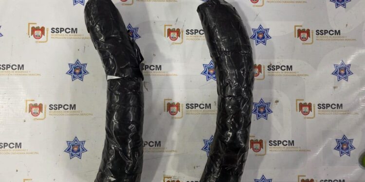 Continúan los casos de “mula ciega” en Tijuana