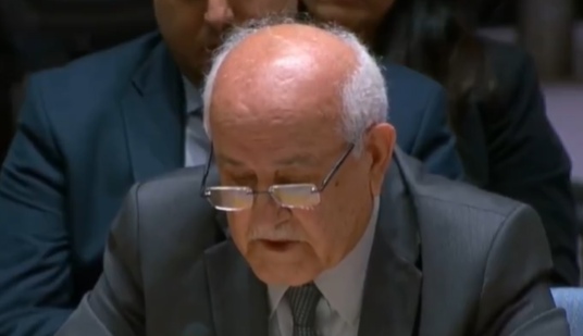 Embajador palestino rompe en llanto ante el Consejo de Seguridad por crisis humanitaria en Gaza