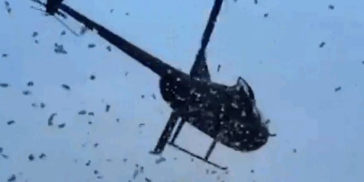 helicoptero